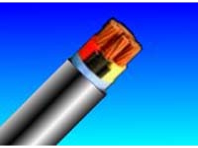 额定电压0.6/1kV聚氯乙烯绝缘聚氯乙烯护套电力电缆